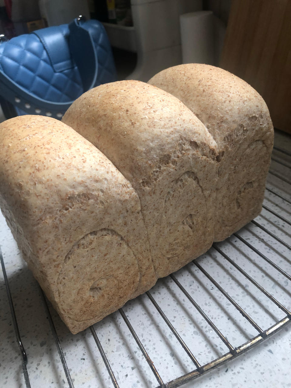 🍞低卡50%全麦吐司面包｜烫种法｜柔软拉丝｜减肥减脂必看