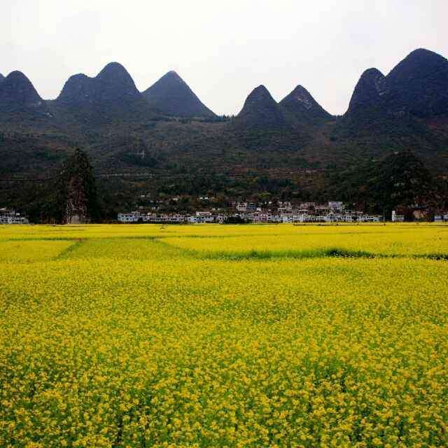 是碟恋花的厨房