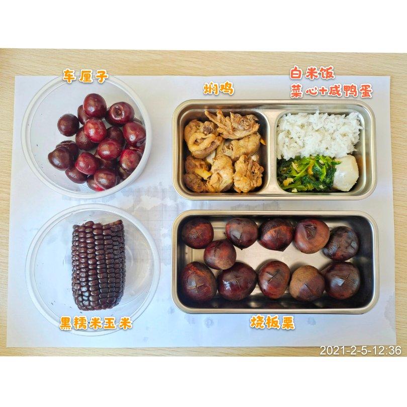 电热饭盒带饭便当系列🍱