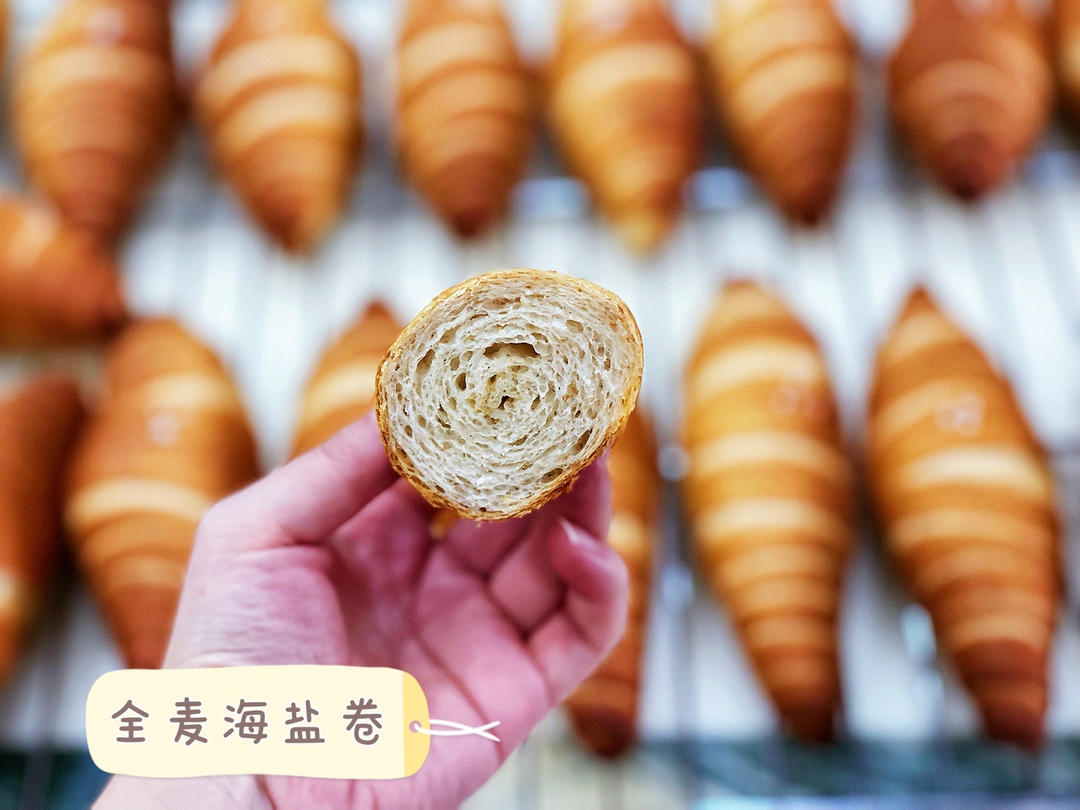 全麦脆皮盐面包｜法国老面