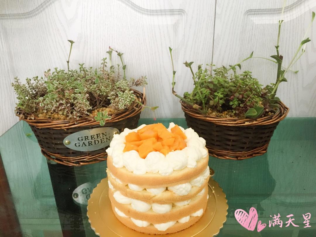 【零失败】不会裱花没关系的水果裸蛋糕 芒果裸蛋糕 完美戚风胚