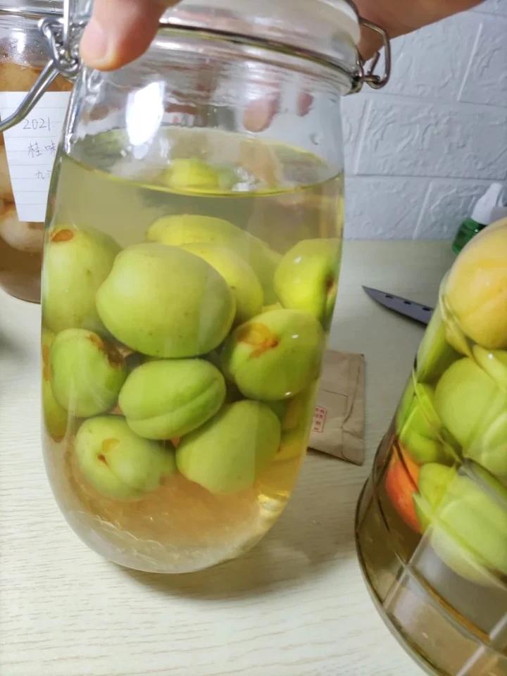 ‼️保姆级【梅子酒】教程，不看就亏大了‼️