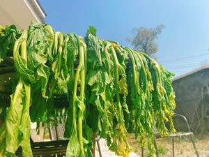 白菜苔红菜苔酸菜的做法 步骤3