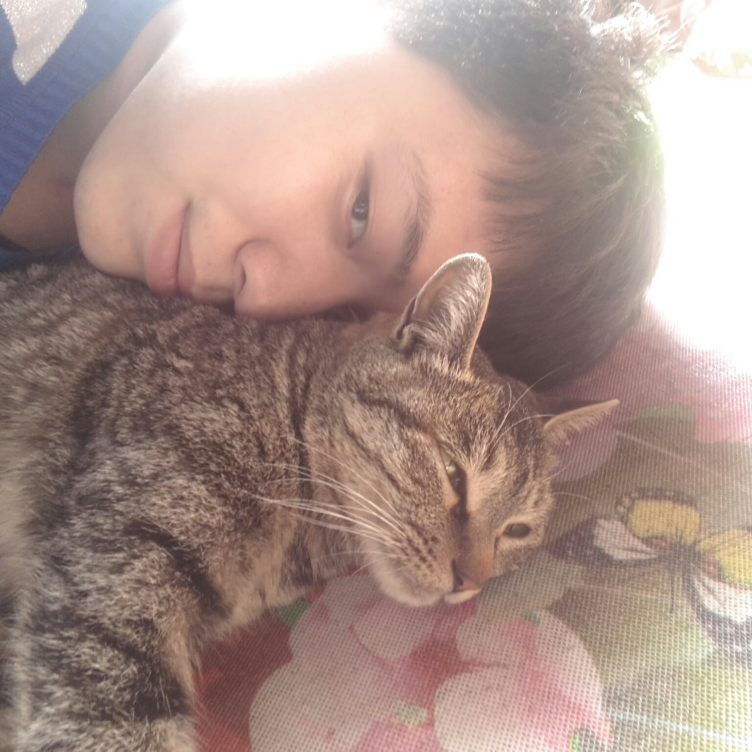 背地里有猫的男子
