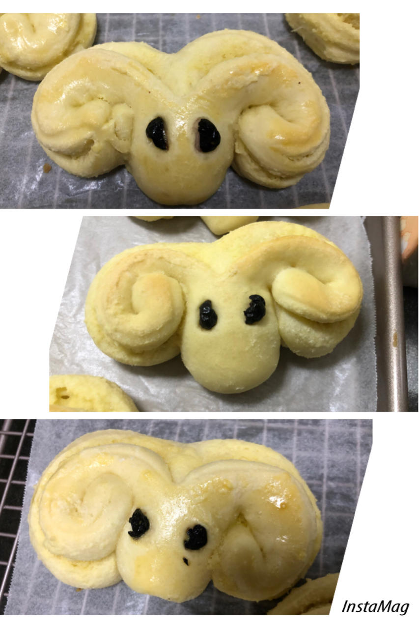 椰蓉小面包|🐏小绵羊|🐙小章鱼|可可爱爱|哄娃必备