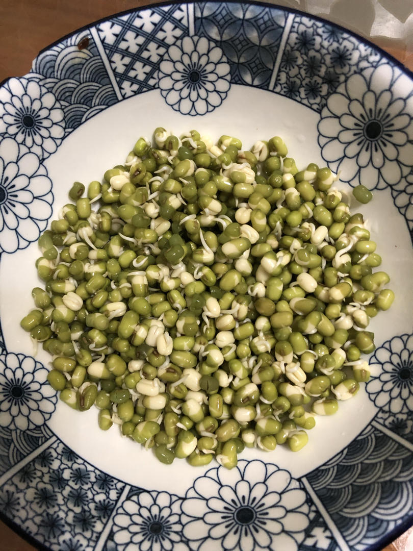 绿豆小嘴-歪果仁的生食豆芽
