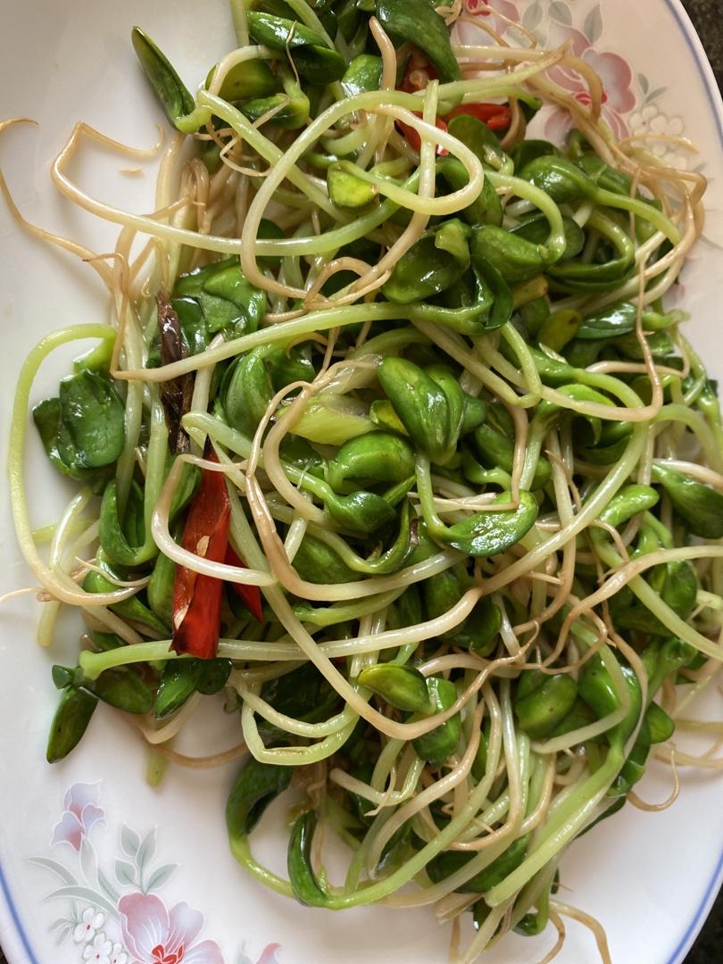 清炒黑豆苗（微辣）