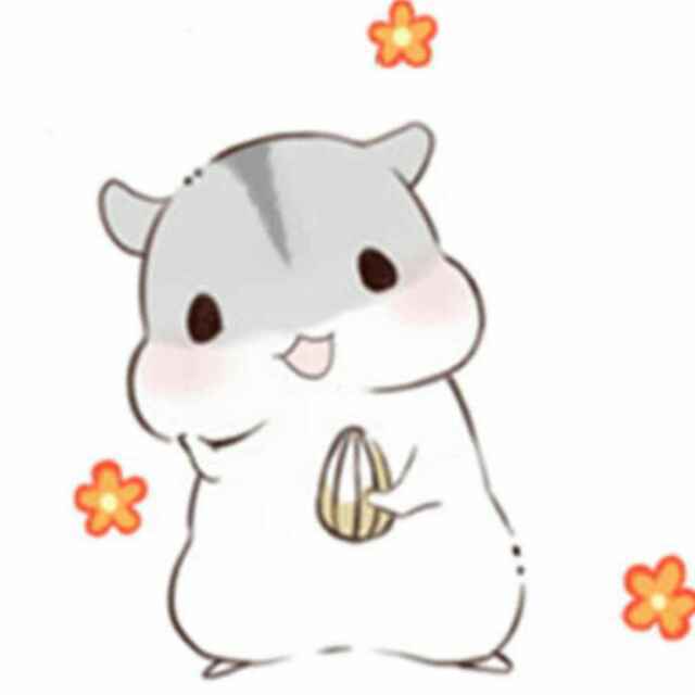 莹512
