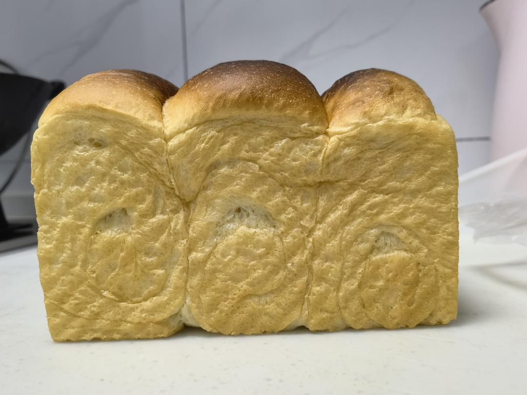 北海道吐司--100%中种