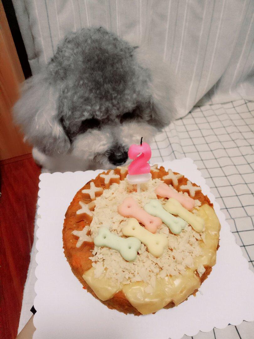 狗狗生日蛋糕（纯天然无色素无面粉）