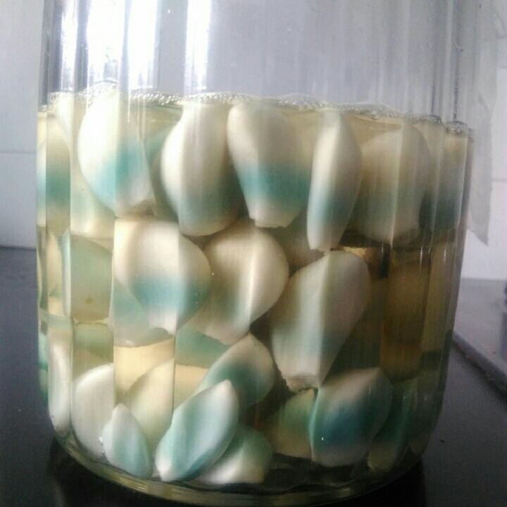 腊八蒜