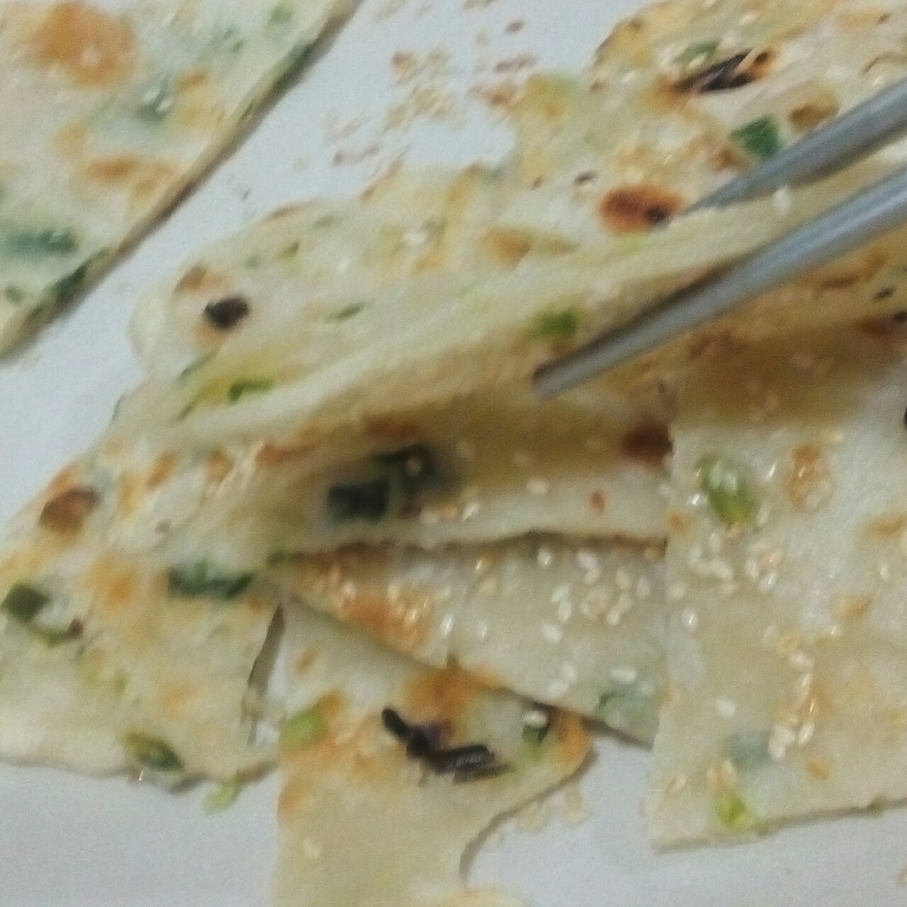 葱花油饼 Spring Onion Pancake