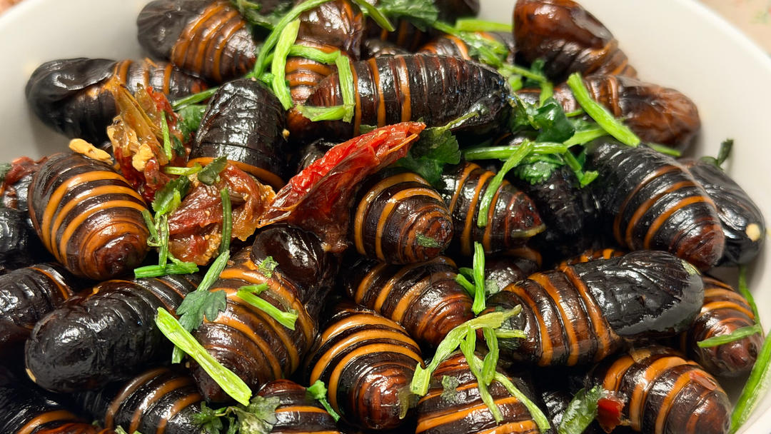 超好吃的干煸蚕蛹