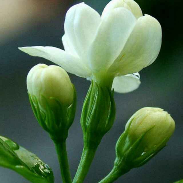 手机用户4868_8h36