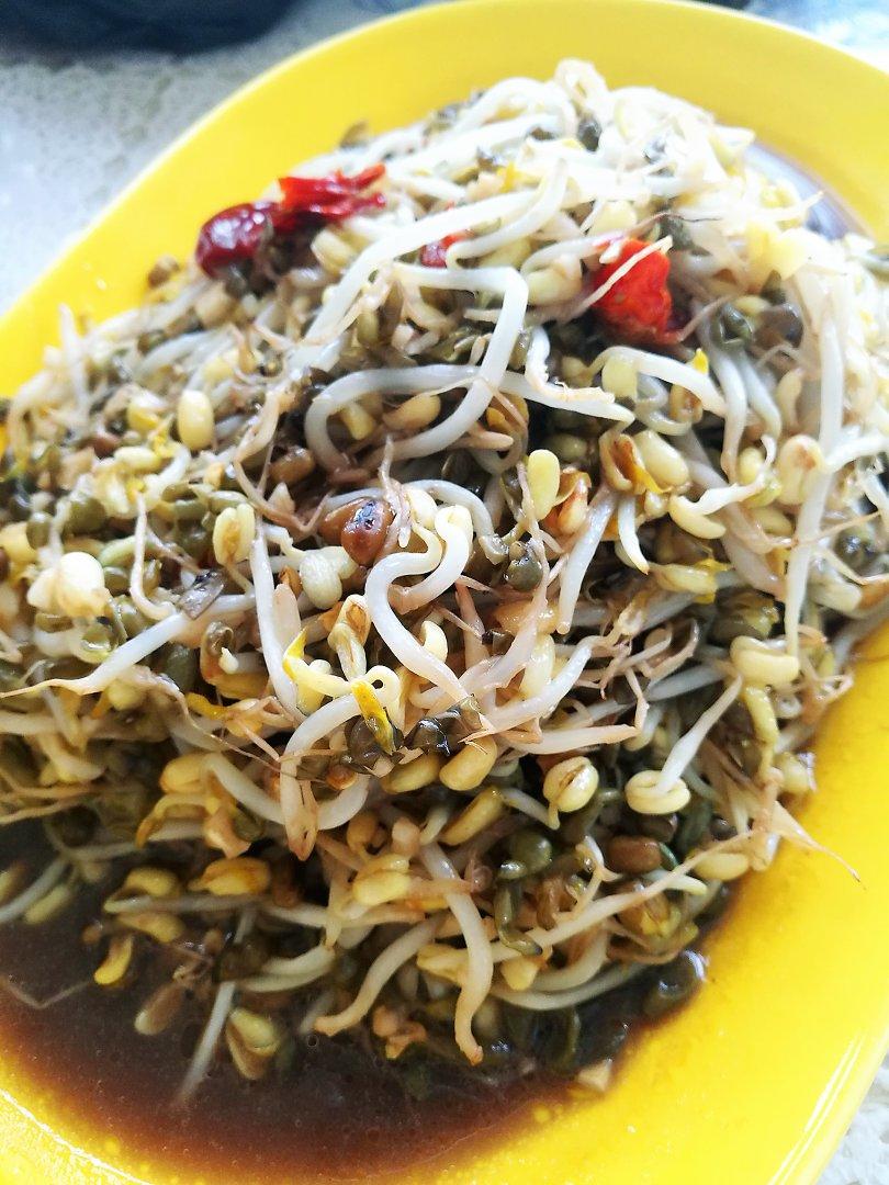 自发豆芽（可乐瓶发豆芽0失败！）