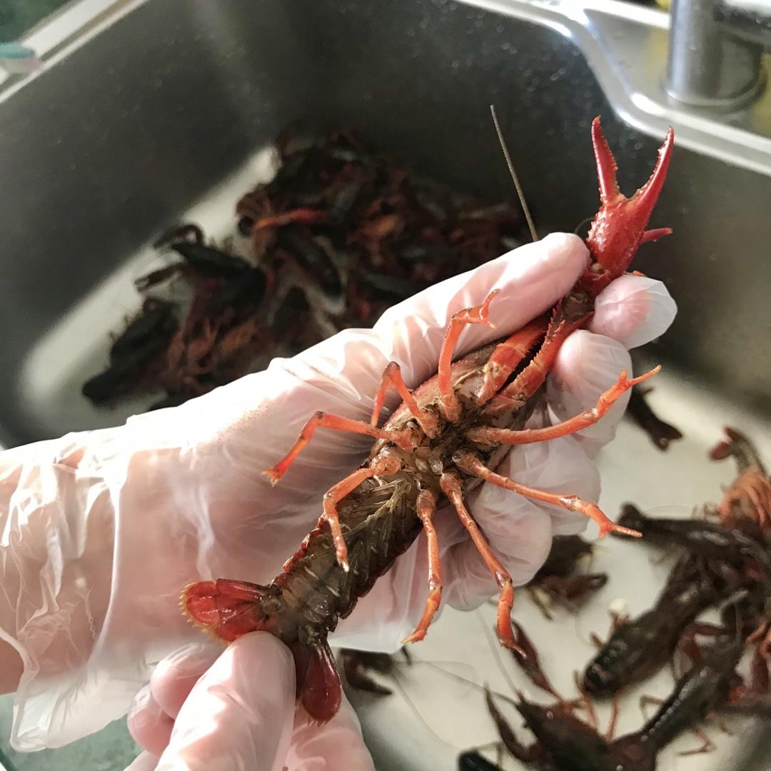 超详细清晰小龙虾步骤