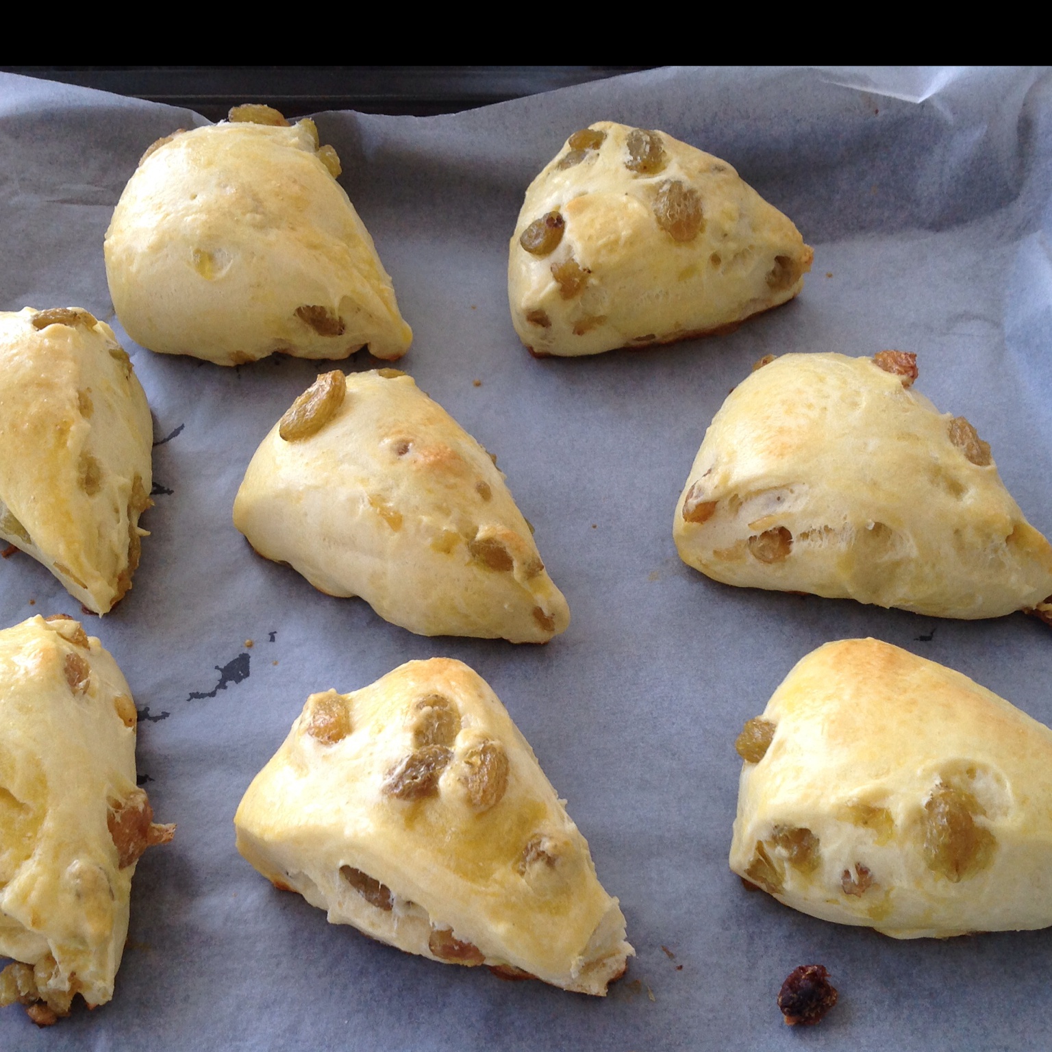 葡萄干司康（酵母版）