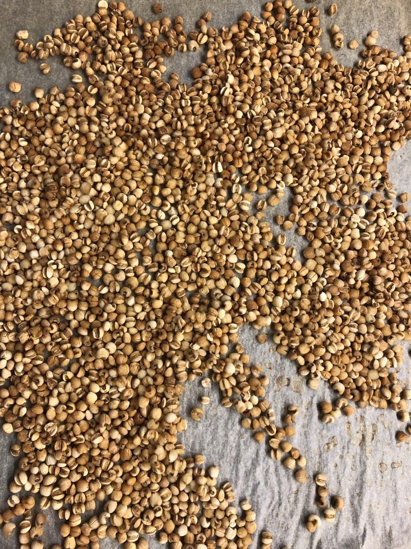 炒薏米仁 减肥美白排毒去湿