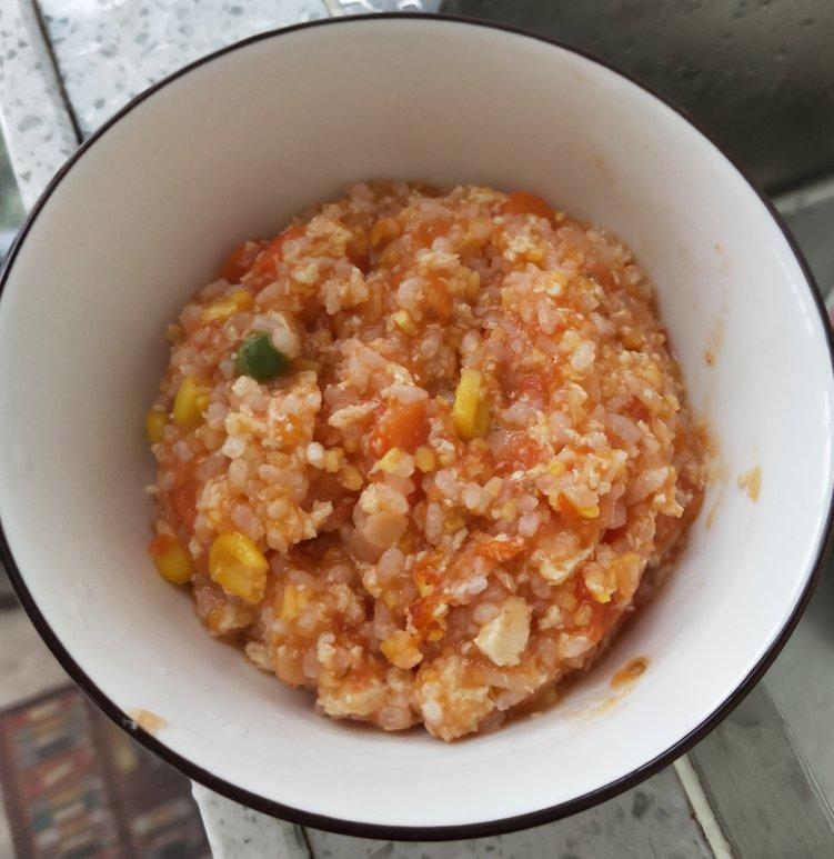 参考10M+︱番茄鸡肉烩饭