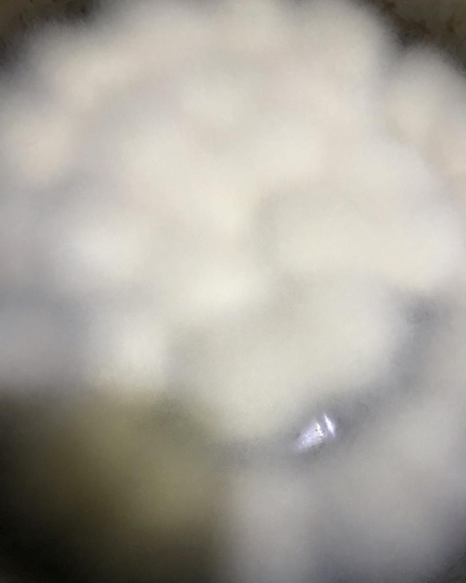 毛豆腐（像雪花❄️一样白）