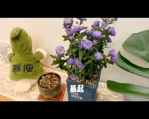 超级适合减脂期作为主食的无糖无油100%全麦贝果