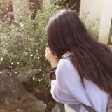 厨房中的道格森