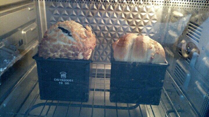 记录自己一路走来的面包