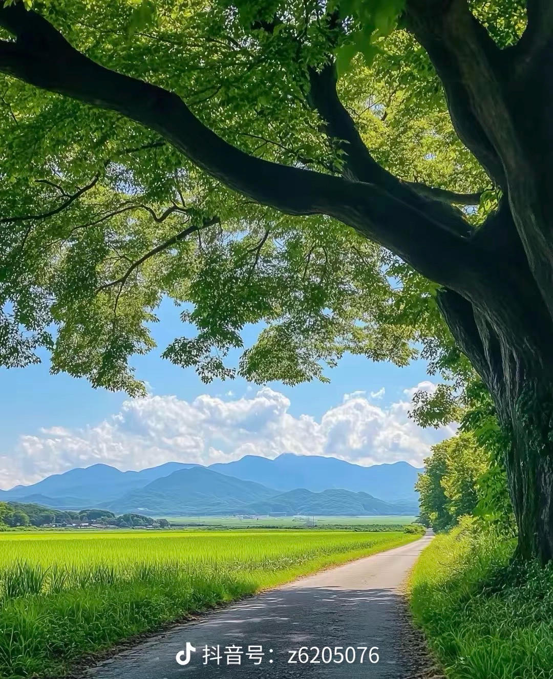 来份美味蟹黄堡