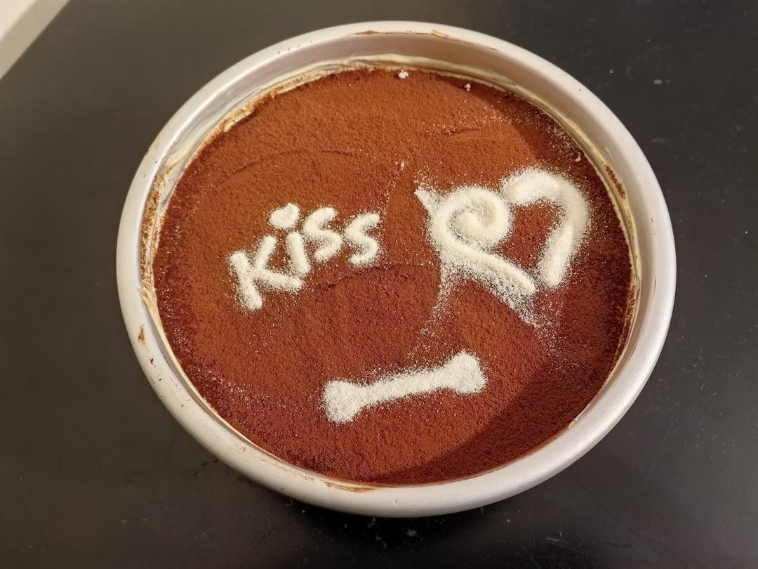 在欧洲学会的经典版提拉米苏