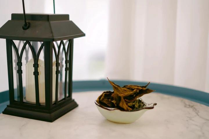 三伏长夏属于脾，热在外而脾胃空虚，空调里进出的人脾胃最易寒湿入侵，赶紧上紫苏饮、紫苏烤肉