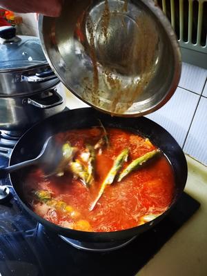 苗家酸汤鱼锅的做法 步骤6