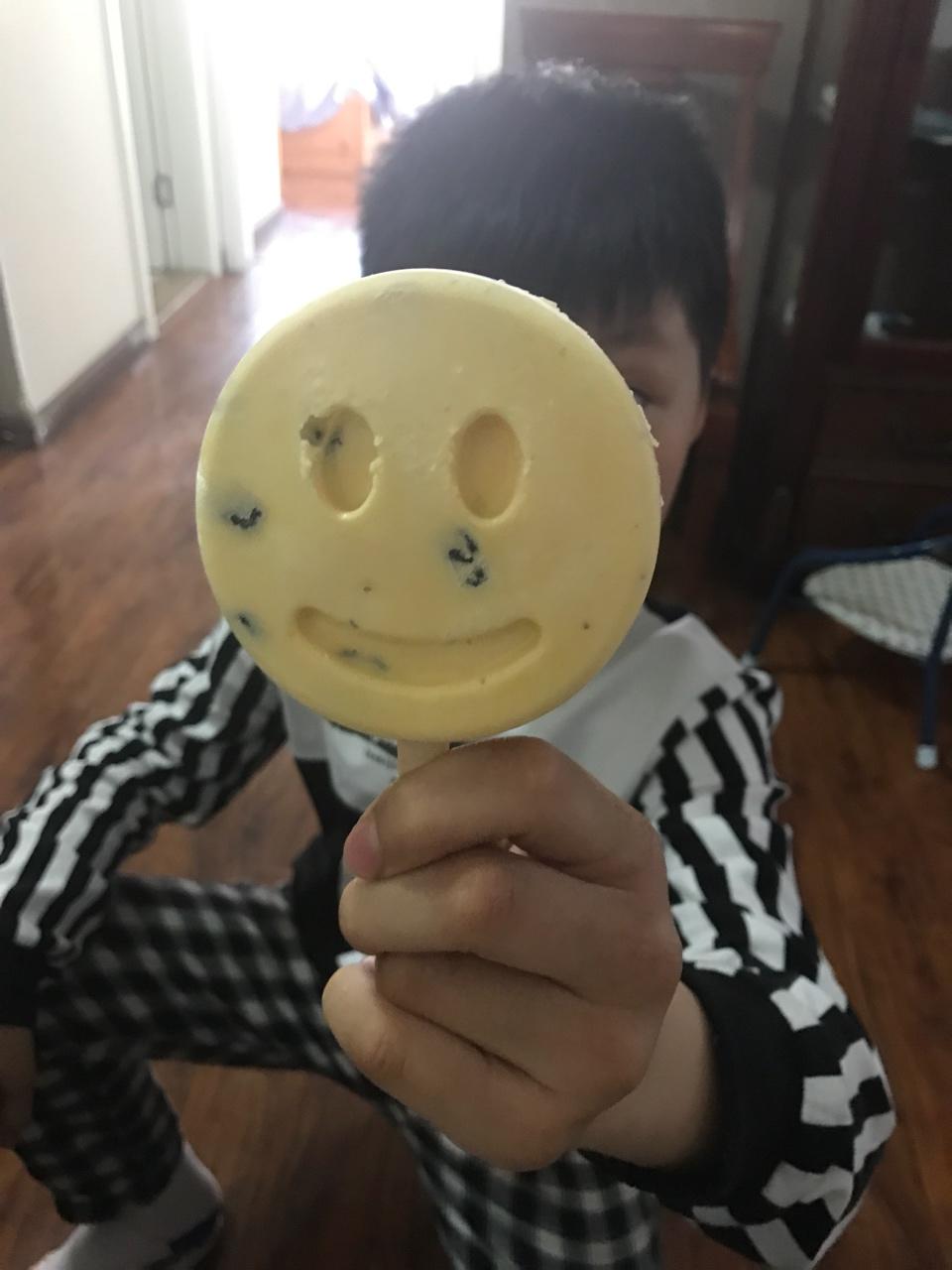 朗姆黑加仑冰淇淋 Rum Raisin Ice cream