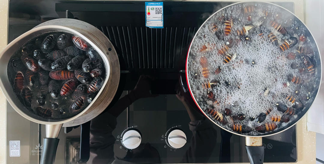 一只仙仙喵的图片分享～🏞️