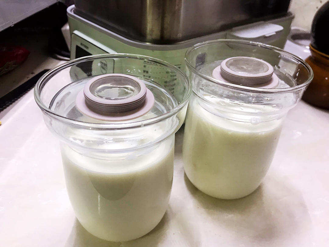 奇异果酸奶【7月北鼎蒸炖锅食谱】