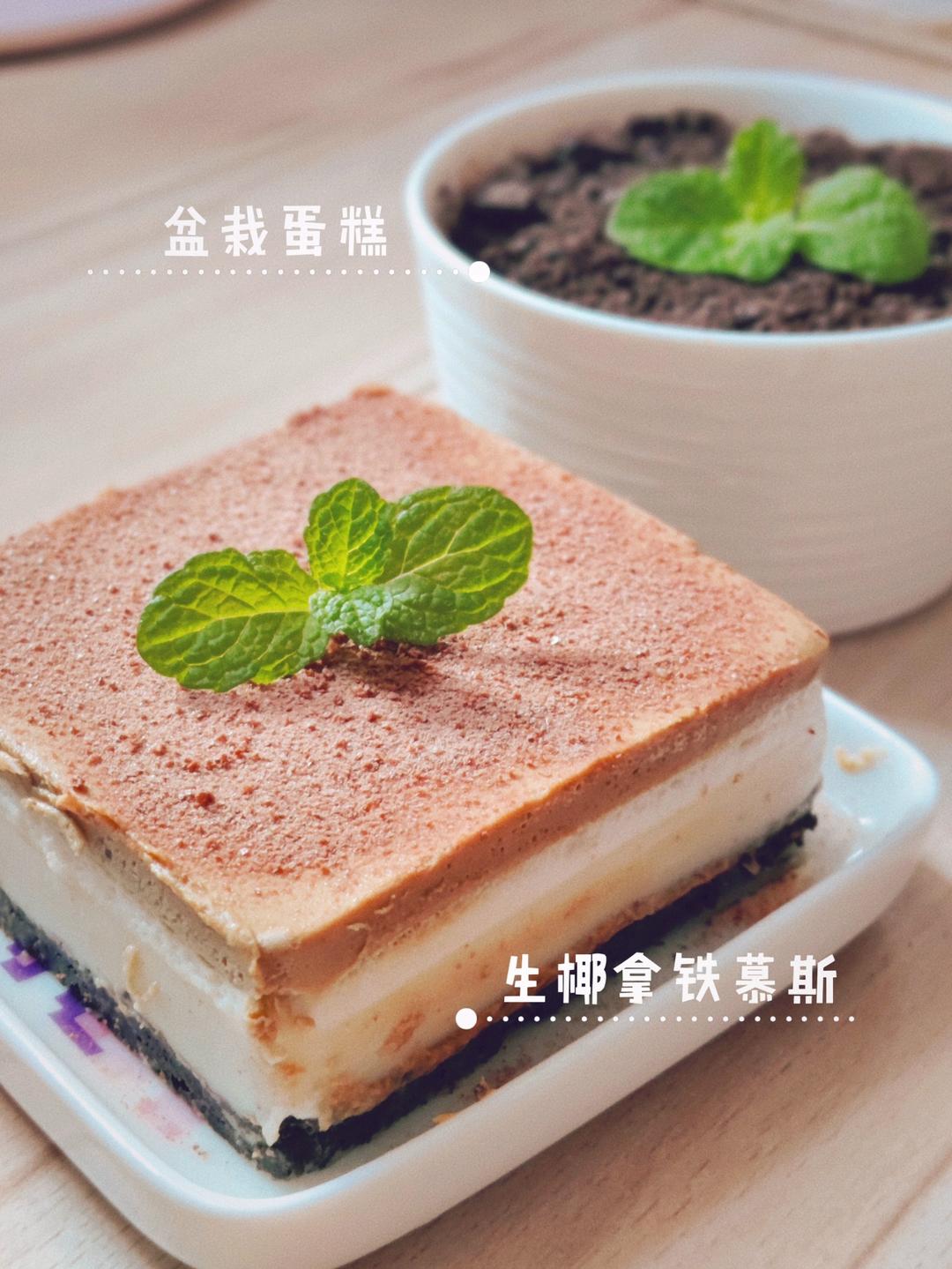 生椰拿铁慕斯☕️免烤箱零失败｜咖啡人的福利