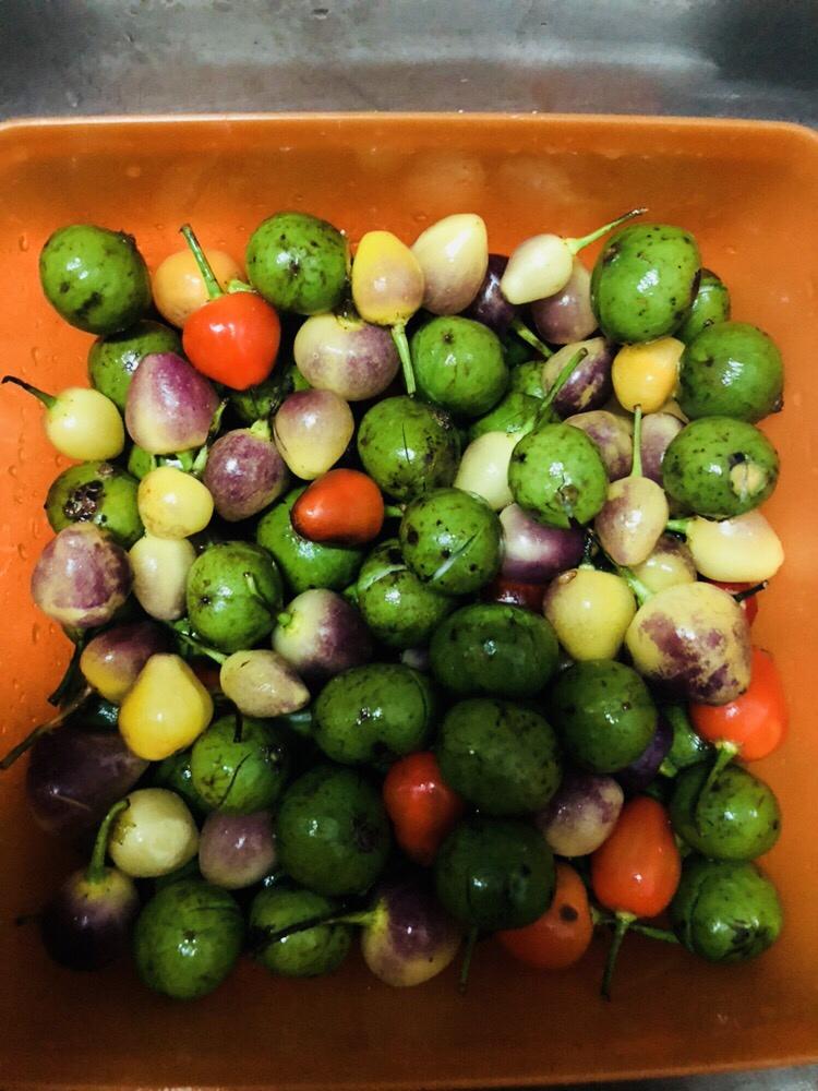 仁面果腌制的用料