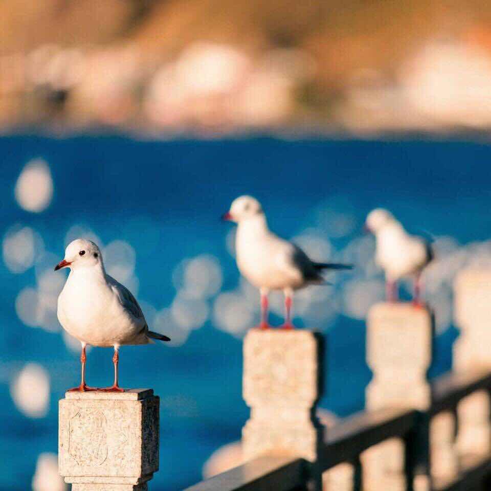 谁说纸要白