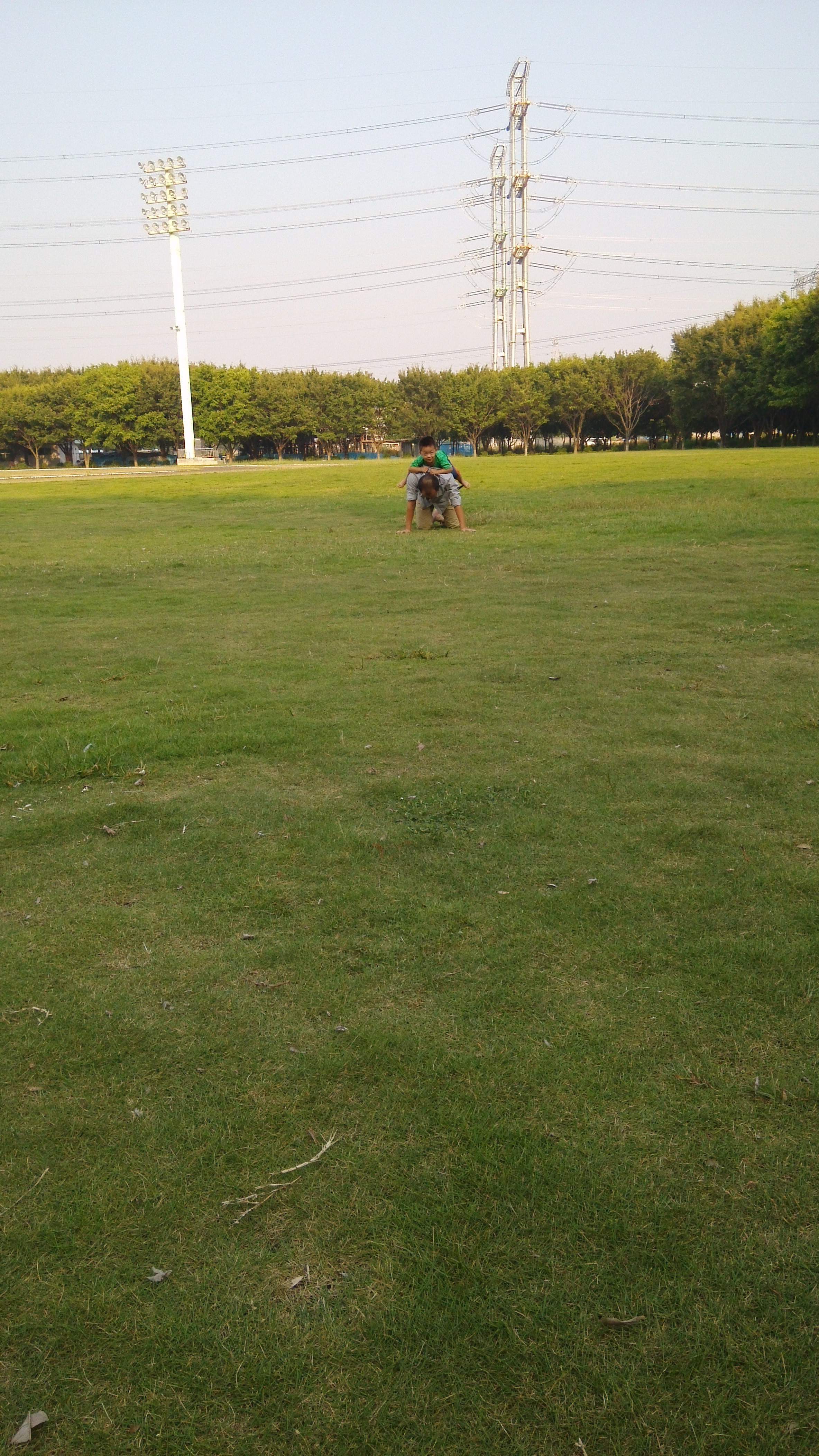 俏然归