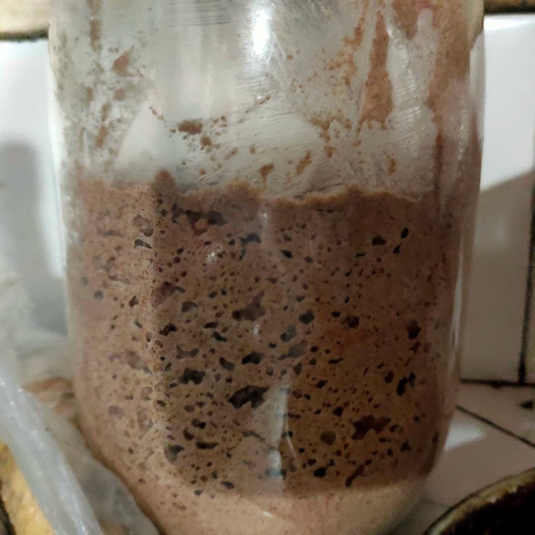 天然酵种、鲁邦种         （黑裸麦起种）