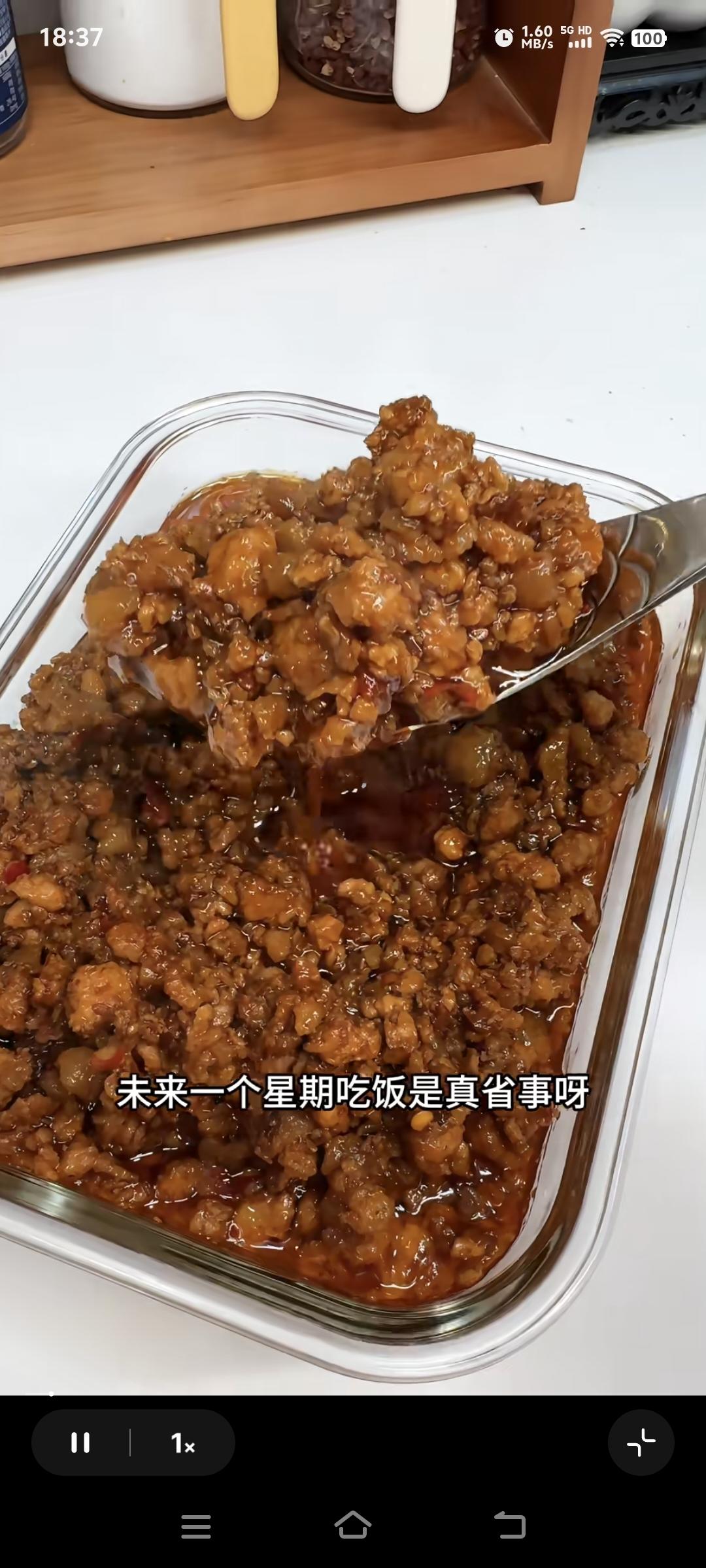 把我自己给征服的万能肉酱