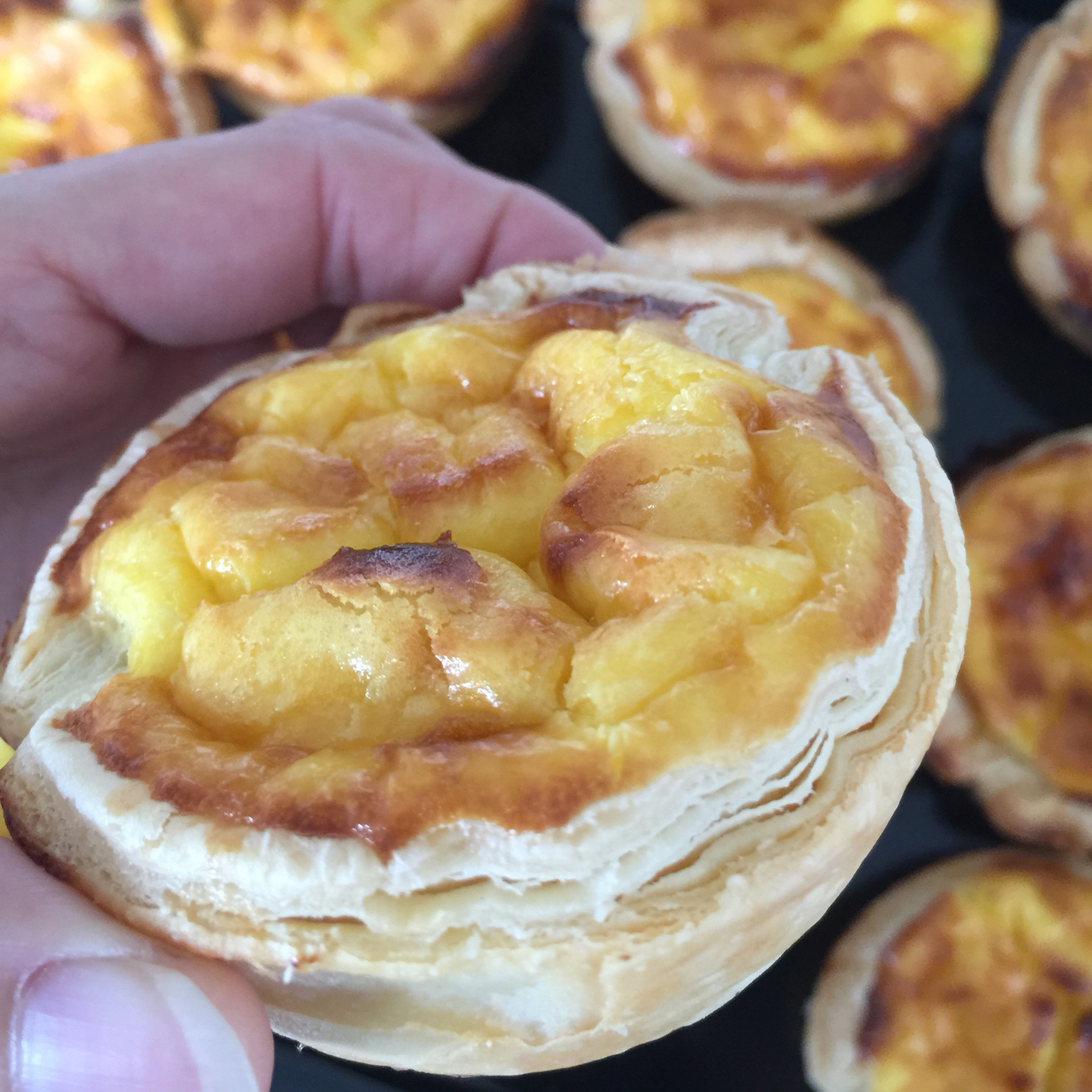 蛋挞 Egg Tart