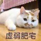 指挥官吃苹果派