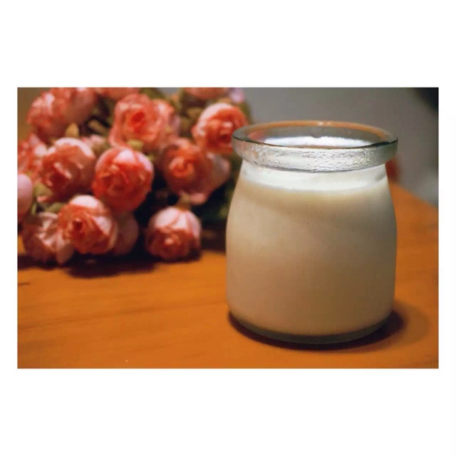 重口味的榴莲布丁