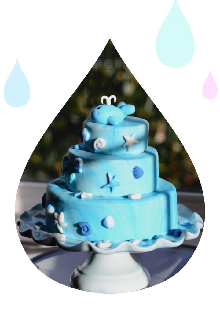 蛋糕上的松果们🐿