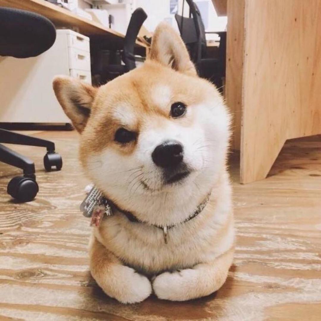 啊吧唧吧唧i