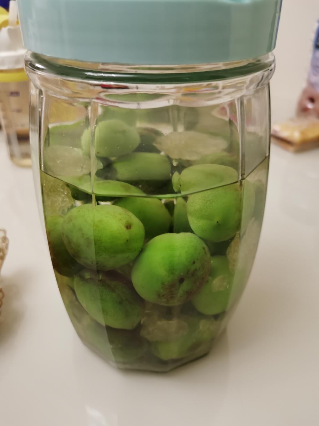 自酿超好喝的青梅酒/梅子酒