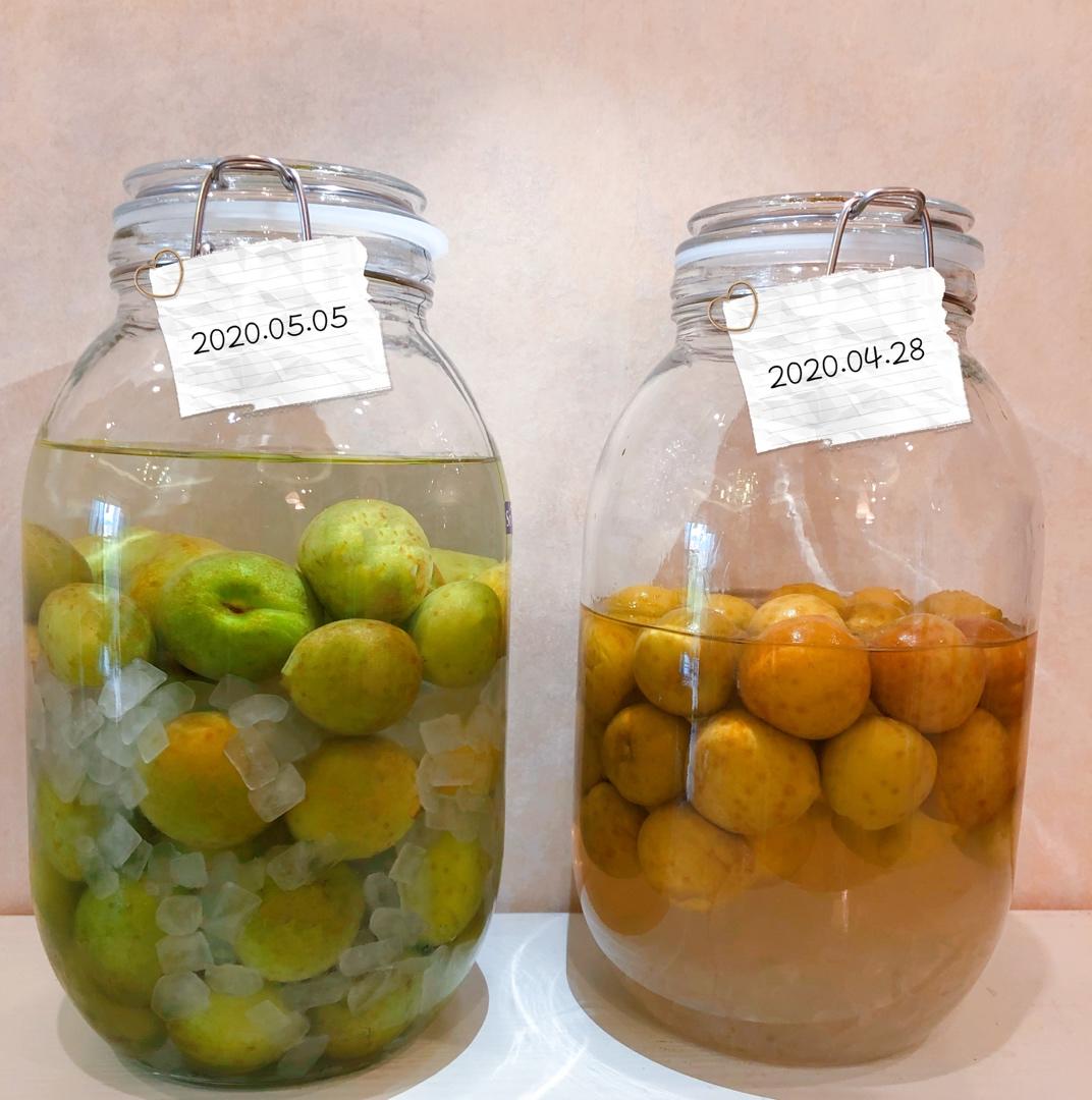 青梅酒（日本专家方子）