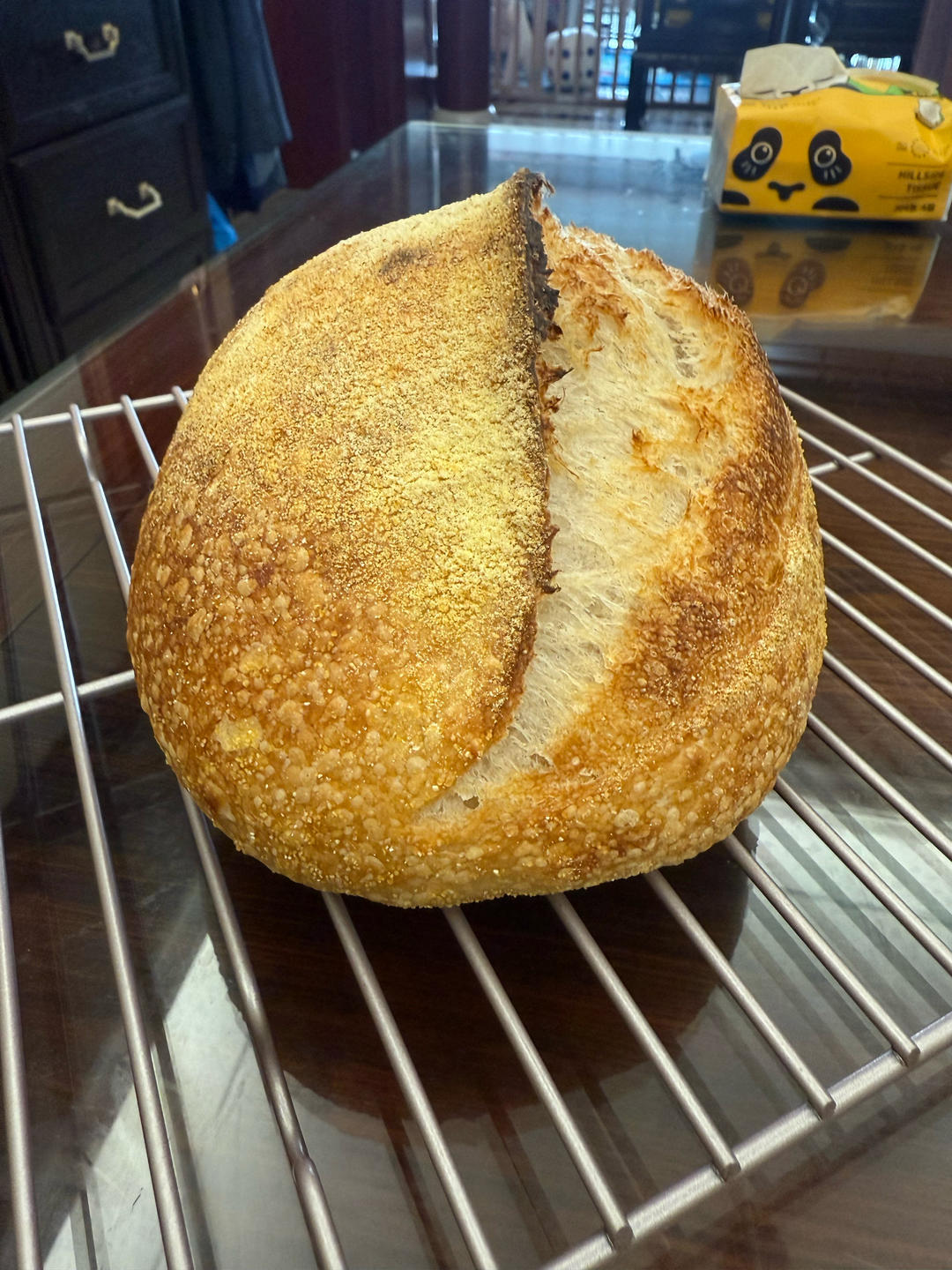 天然酵种乡村欧包/鲁邦种