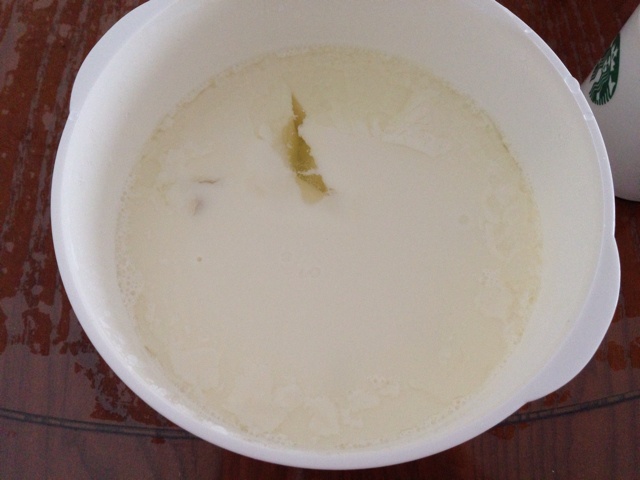 小熊酸奶机自制酸奶