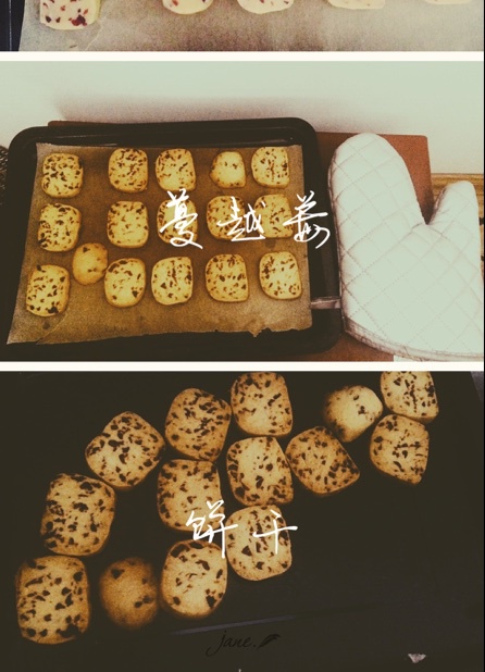 蔓越莓饼干（君之配方改良，易操作版）